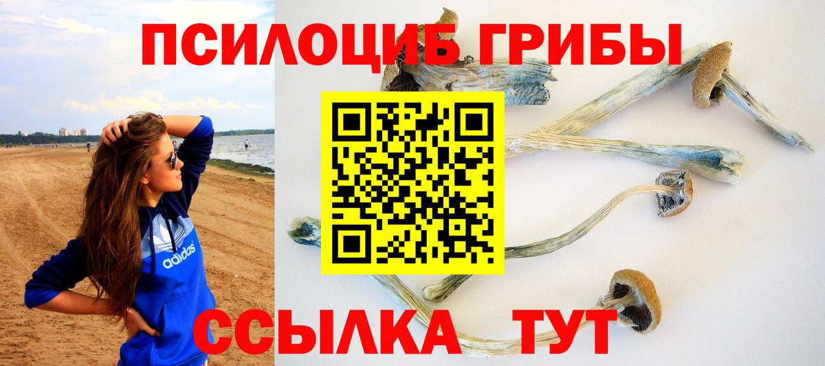 Галлюциногенные грибы мицелий  Вход с VPN  где купить наркоту  Великий Устюг 