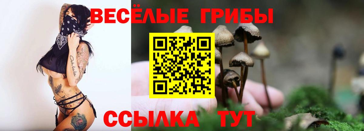 Галлюциногенные грибы ЛСД Великий Устюг