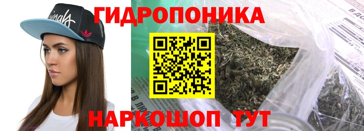 Конопля тримм Великий Устюг